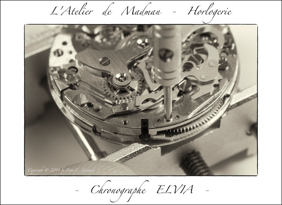Chronographe Elvia