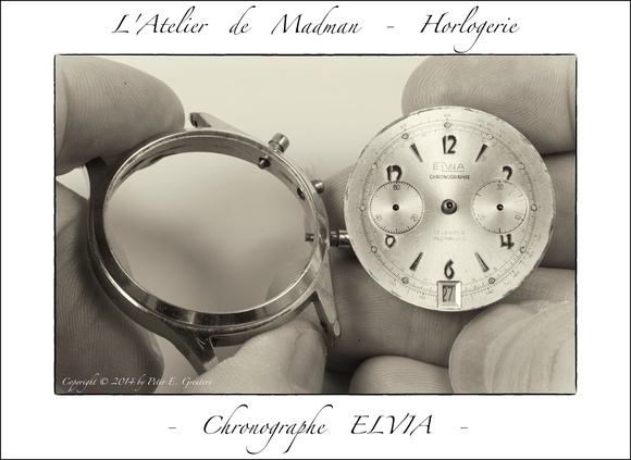Chronographe Elvia